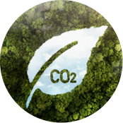 Zhejiang Ruiguan Ajtó és Ablak Co., Ltd.
